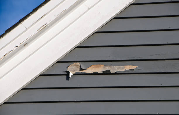 Shed Removal in Wilmington Island, GA